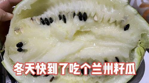 兰州免费吃籽瓜的地方,寻味城市中的甜蜜馈赠” 第2张 兰州免费吃籽瓜的地方,寻味城市中的甜蜜馈赠” 第2张